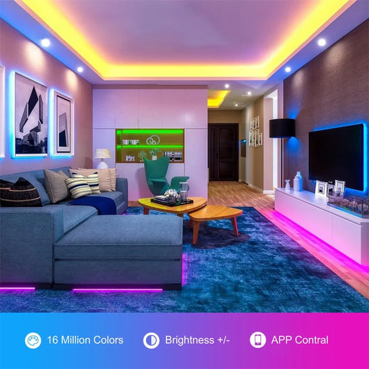 Homiio Smart WIFI RGBIC LED Strip Lights- Neon LED Light USB APP Control for Alexa Google