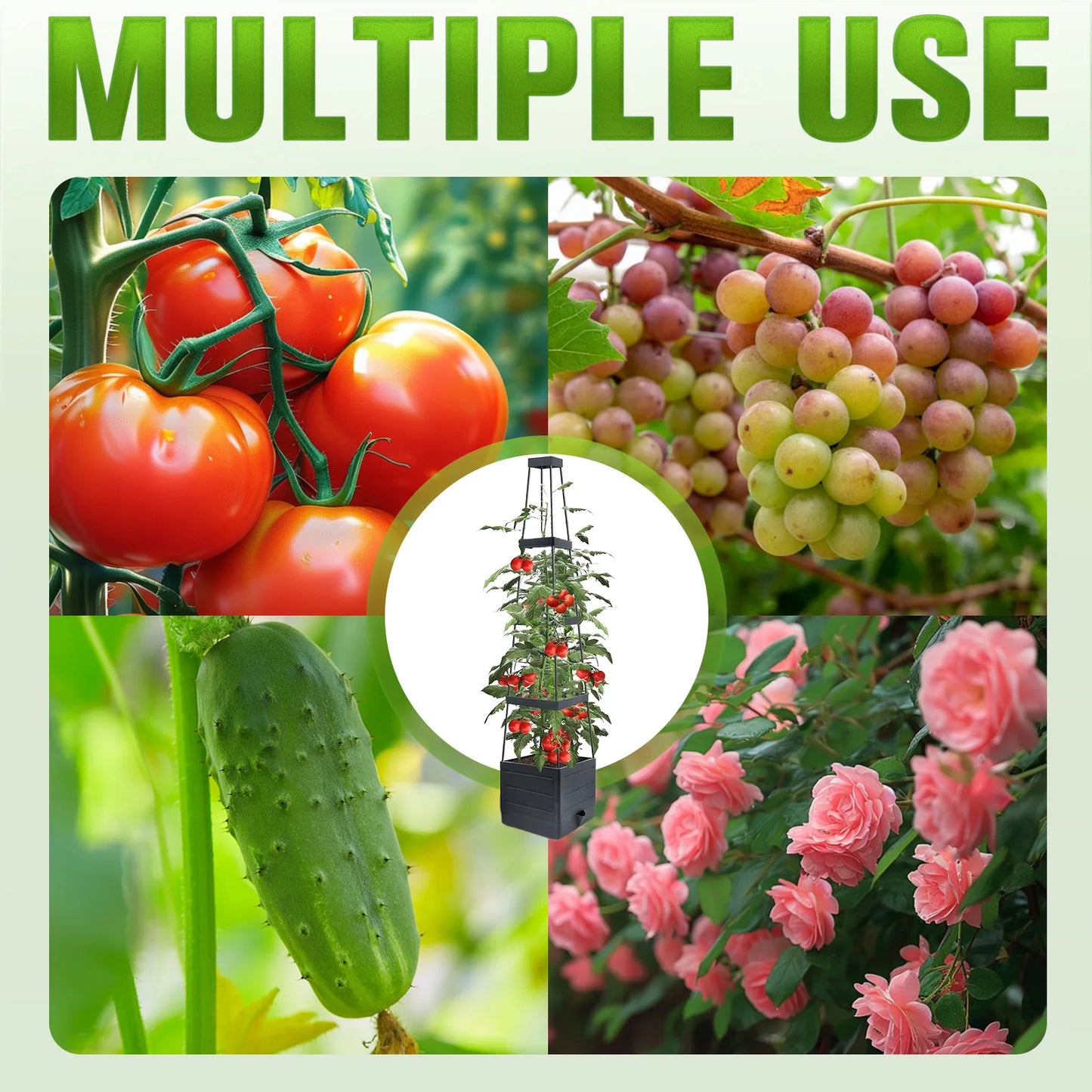 Raised Garden Bed with Trellis