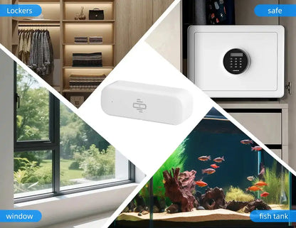 Collage of a safe, window, and fish tank with labeled categories.